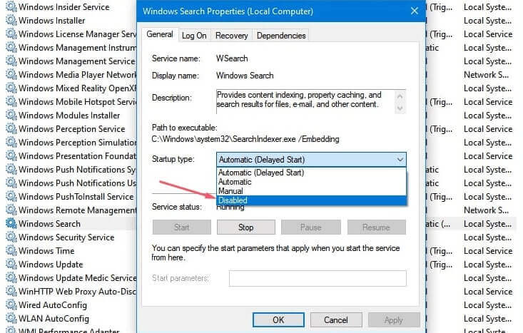 windows search